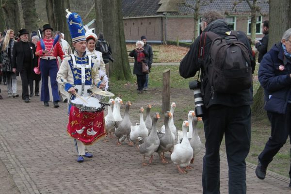 Ganzenparade boeken
