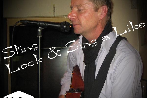Sting look a like