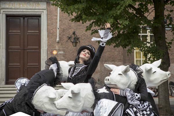 Varkens ballet