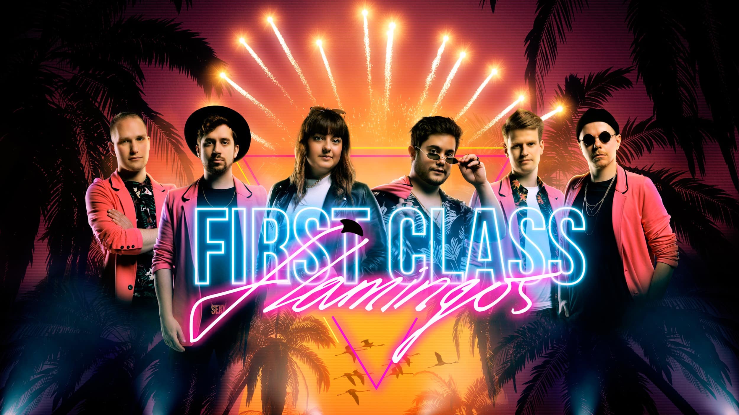 First Class Flamingos boeken