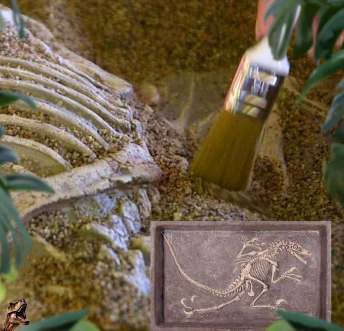 Dino Dig Out boeken