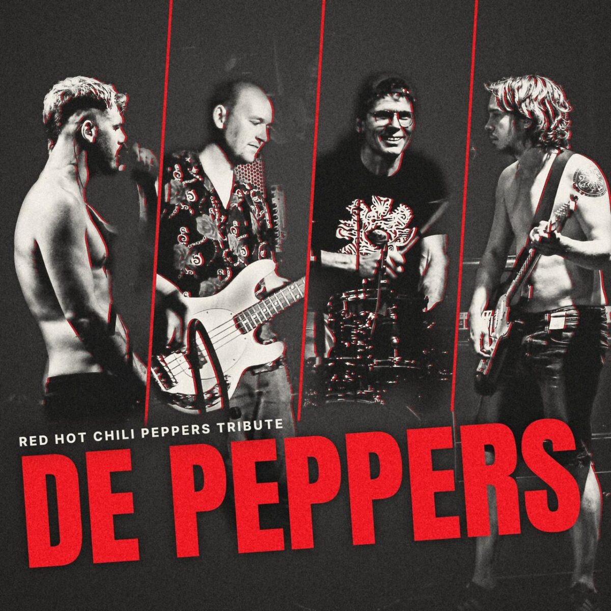 De Peppers boeken